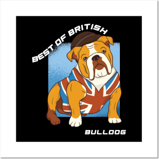 British bulldog wearing union jack vest Posters and Art